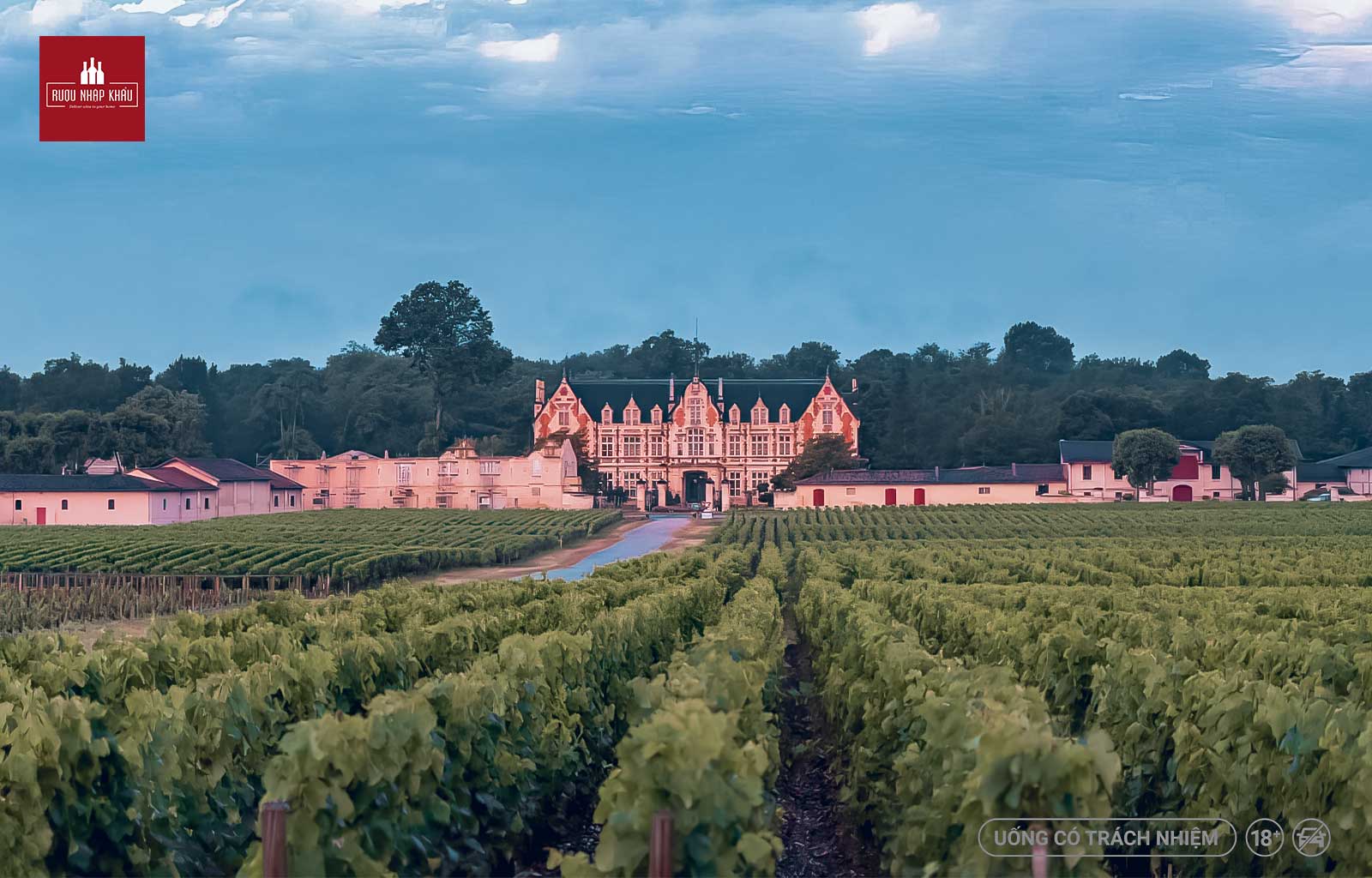 Rượu vang trắng từ vùng Margaux
