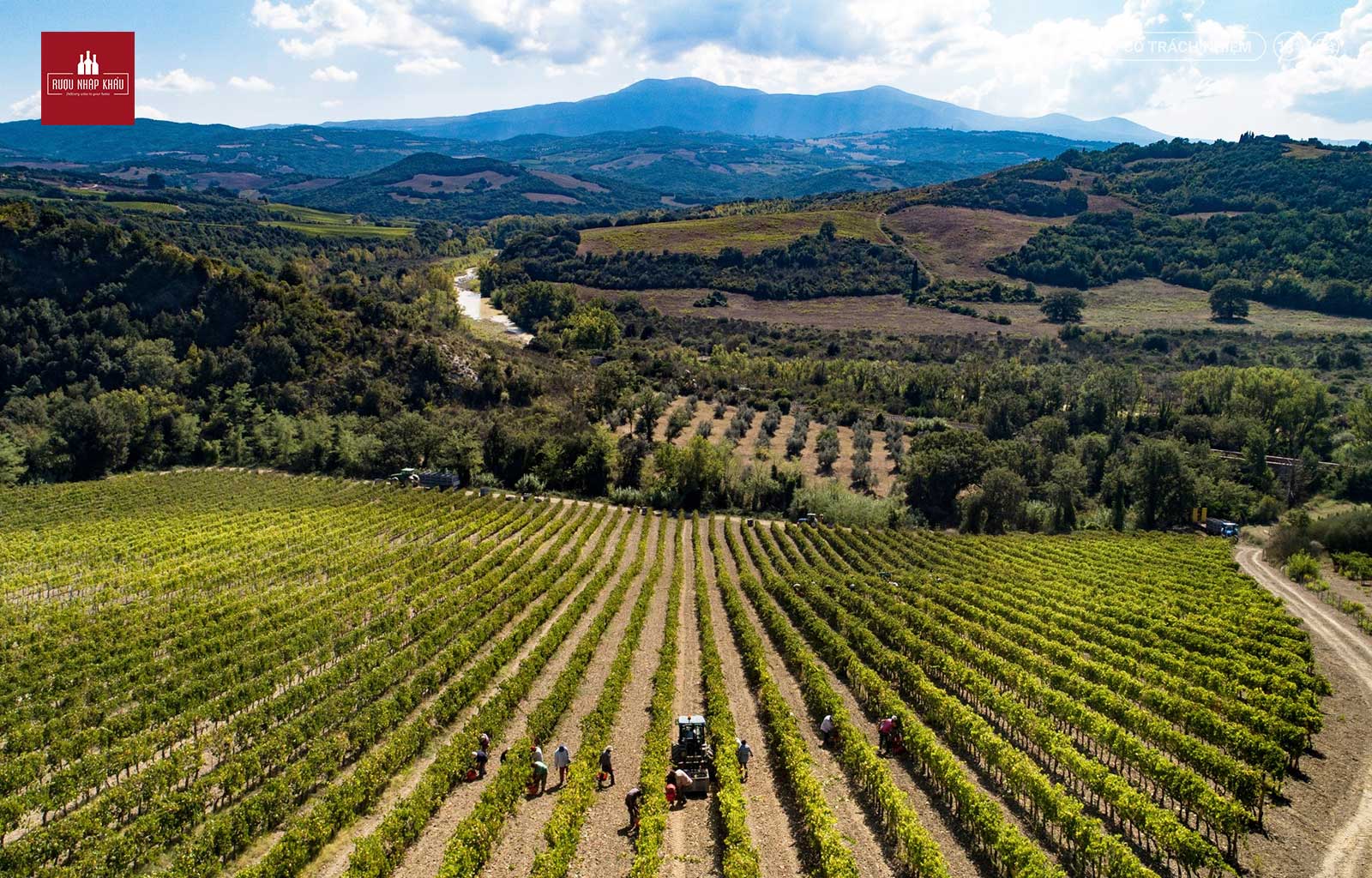 Bật mí sự hình thành rượu vang Ý Casanova di Neri Rosso di Montalcino 1