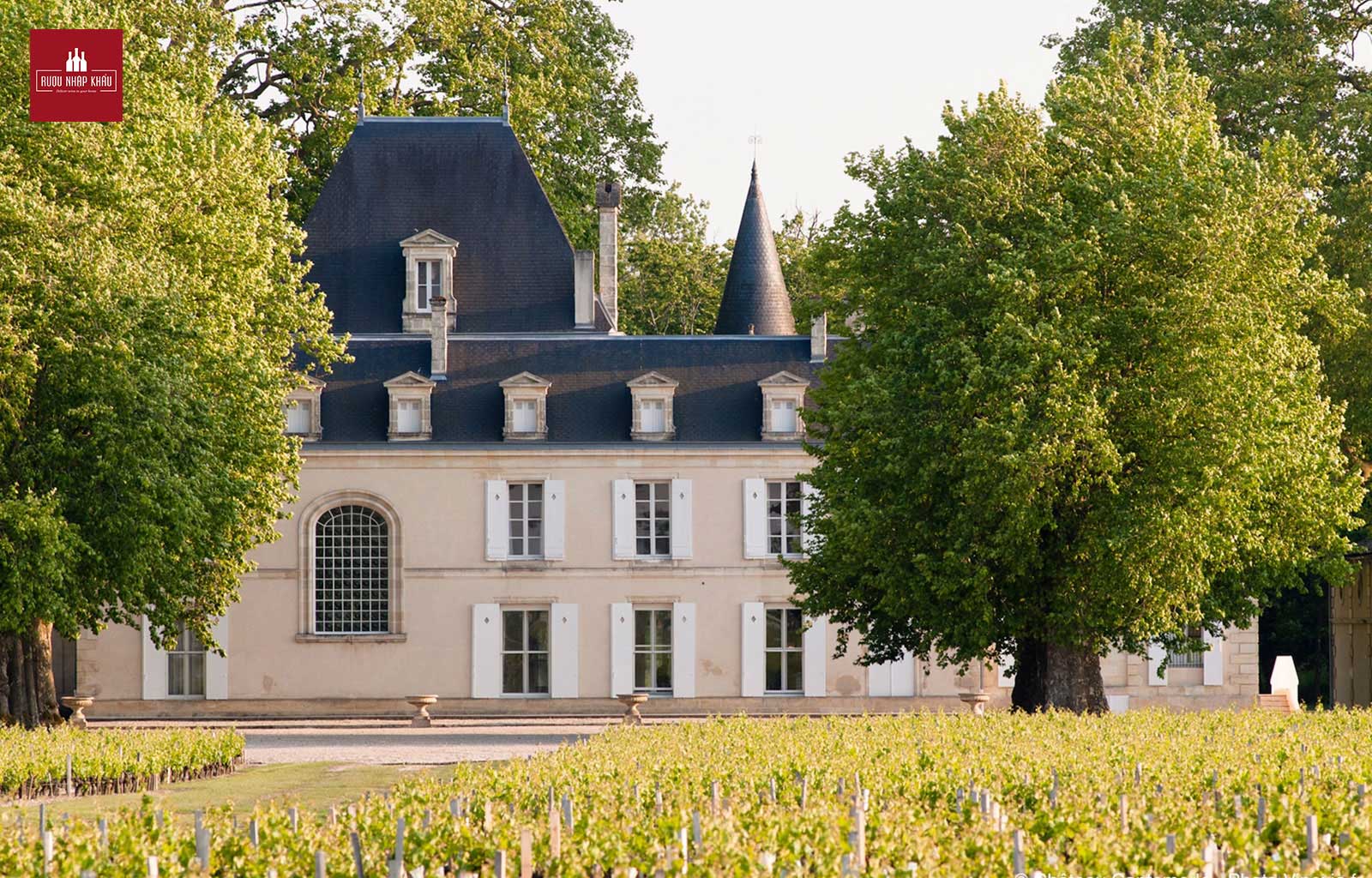 Château Cantemerle - “quý cô bí ẩn” của rượu vang Pháp 1