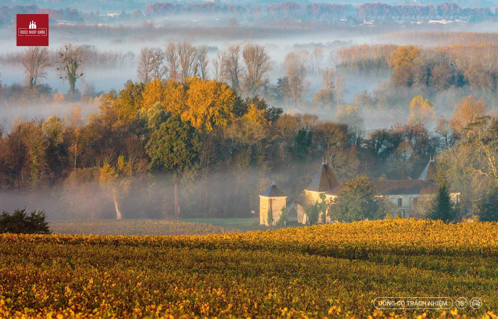 Château Clerc Milon - sự lựa chọn hoàn hảo của người sành vang 1