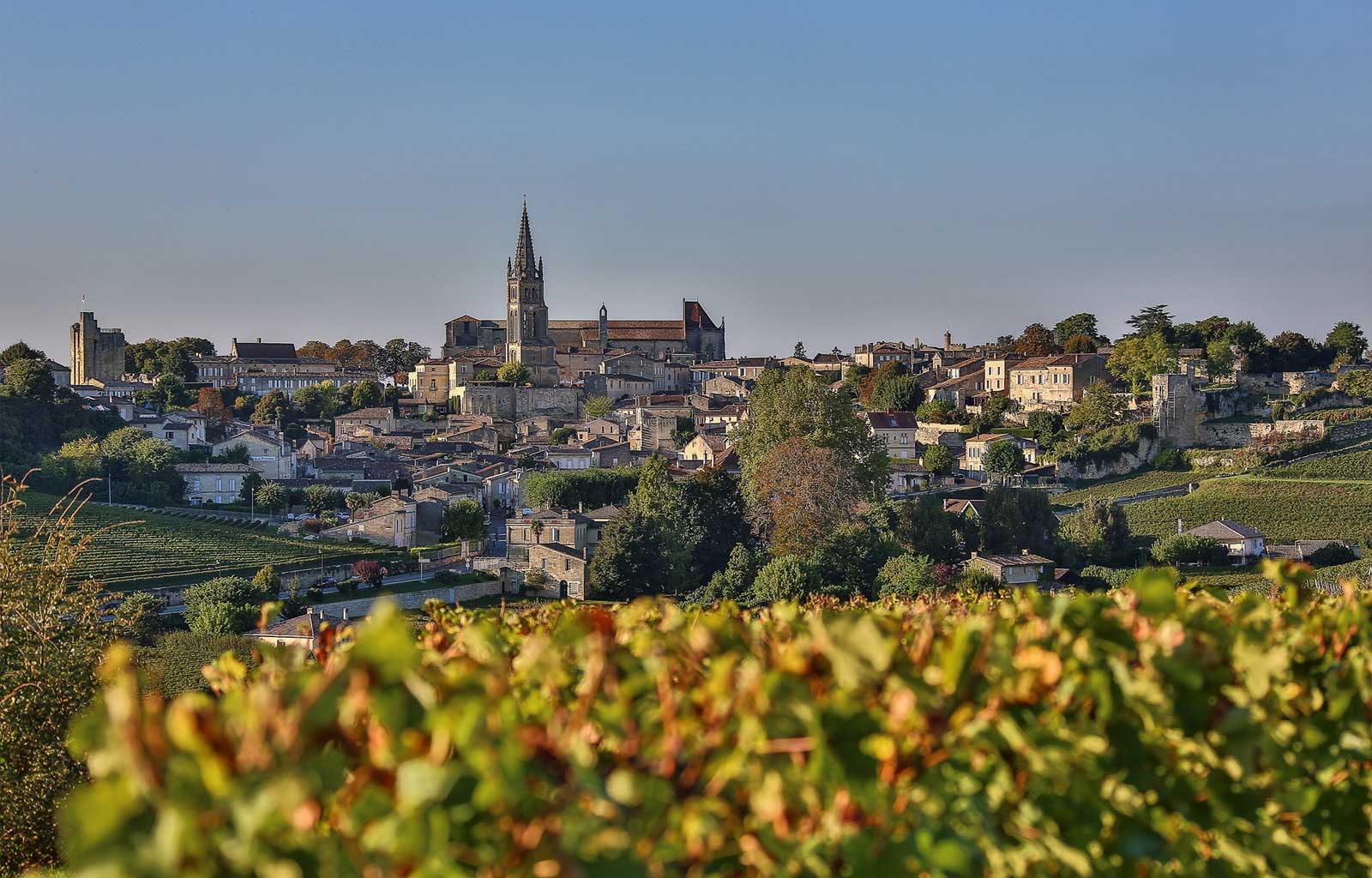 Château Fombrauge - Rượu vang Pháp xuất sắc trong tầm giá 2