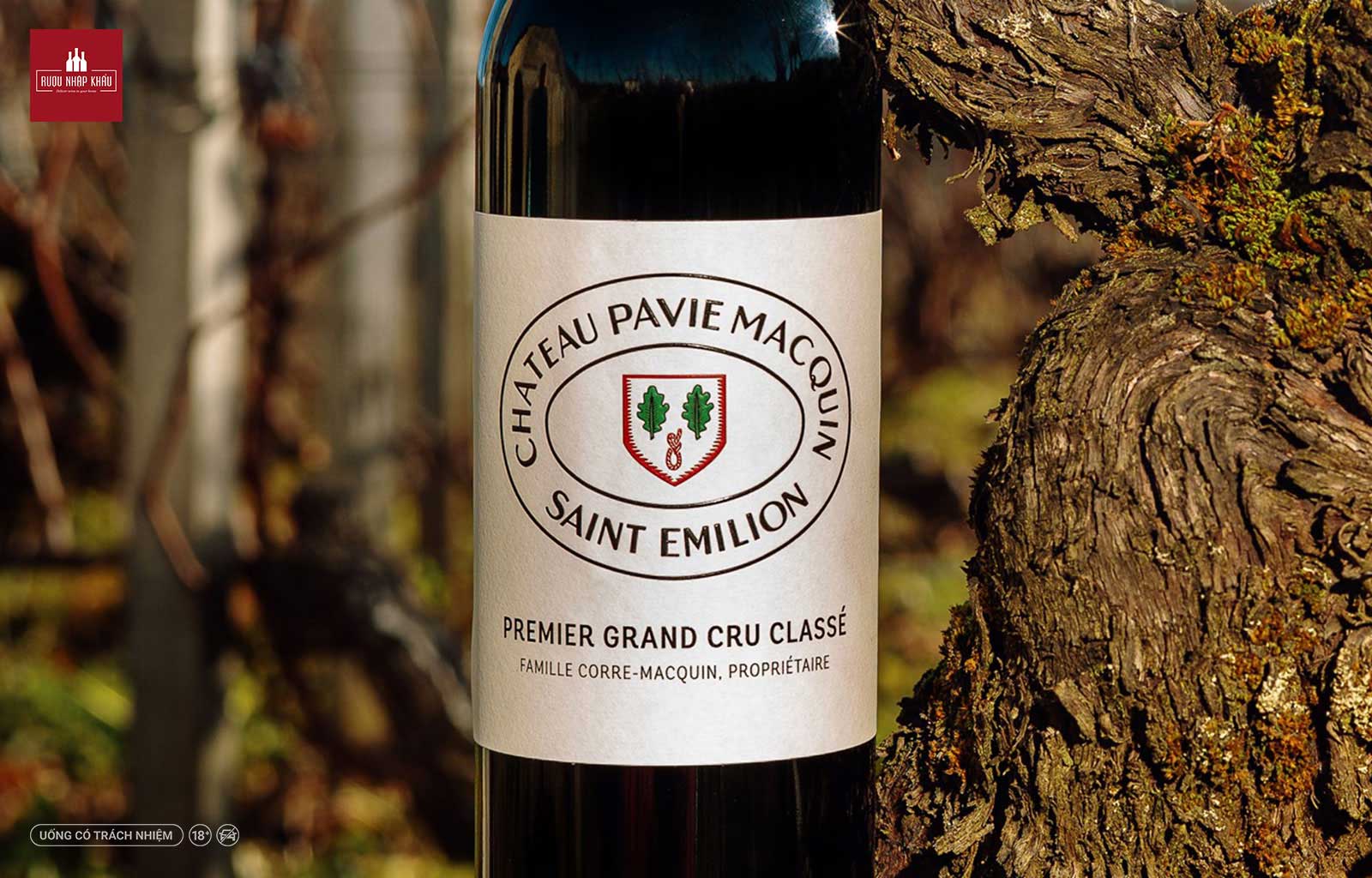 Chateau Pavie Macquin - Món quà tặng đặc biệt 1