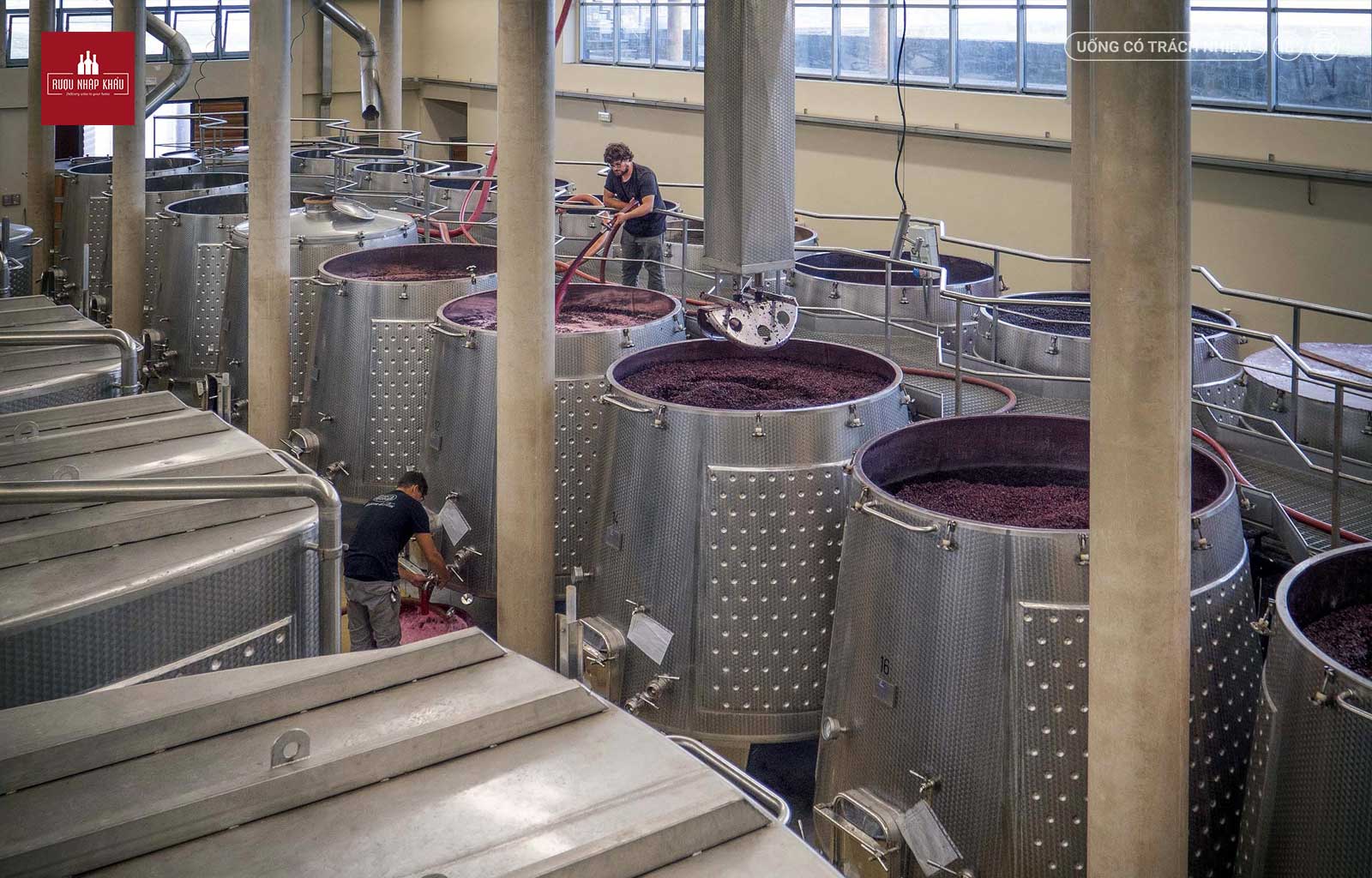 Chuyên gia nói gì về rượu vang Ý Tenuta Nuova Brunello Di Montalcino 2