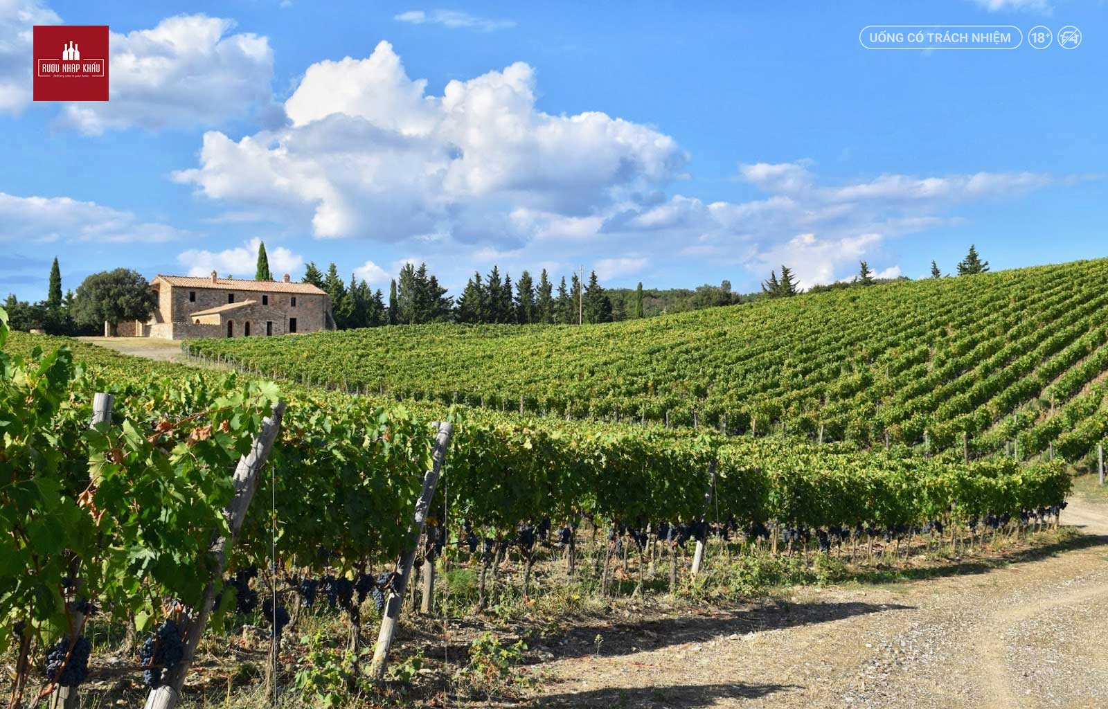 Giá rượu vang đỏ Brunello Di Montalcino Ripe Al Convento là bao nhiêu 1