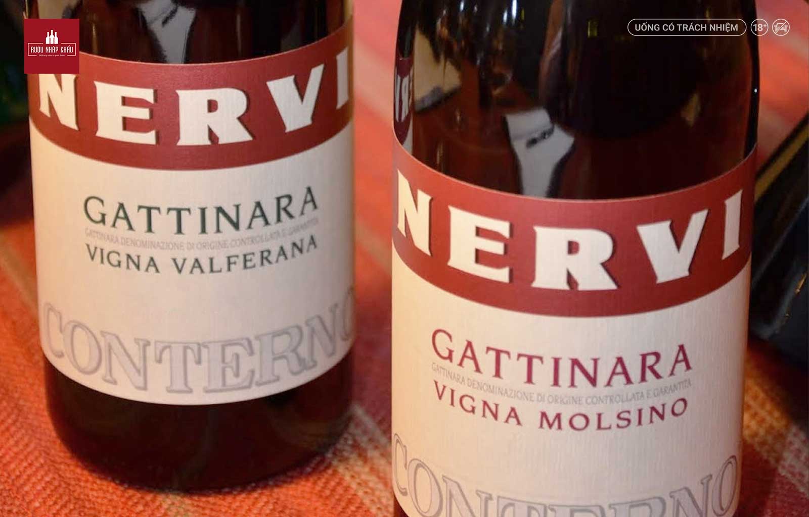Giống nho tạo nên rượu vang đỏ Conterno Nervi Gattinara Vigna Molsino 2