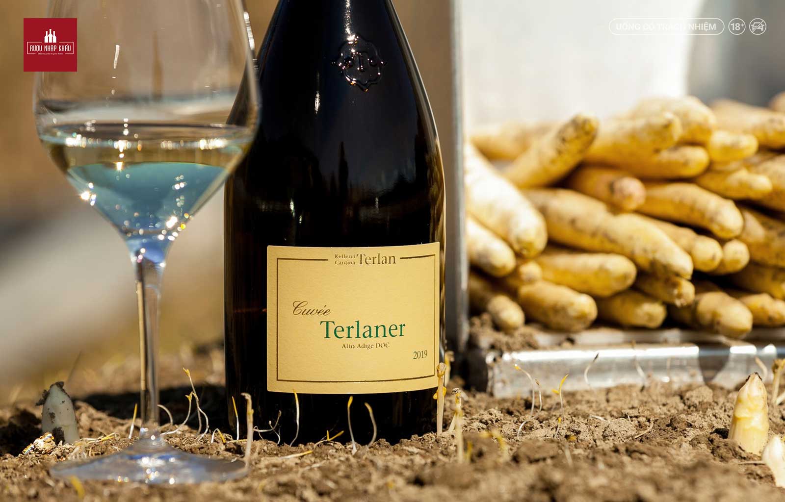 Hương vị trẻ trung của vang trắng Terlano Cuvée Terlaner 2