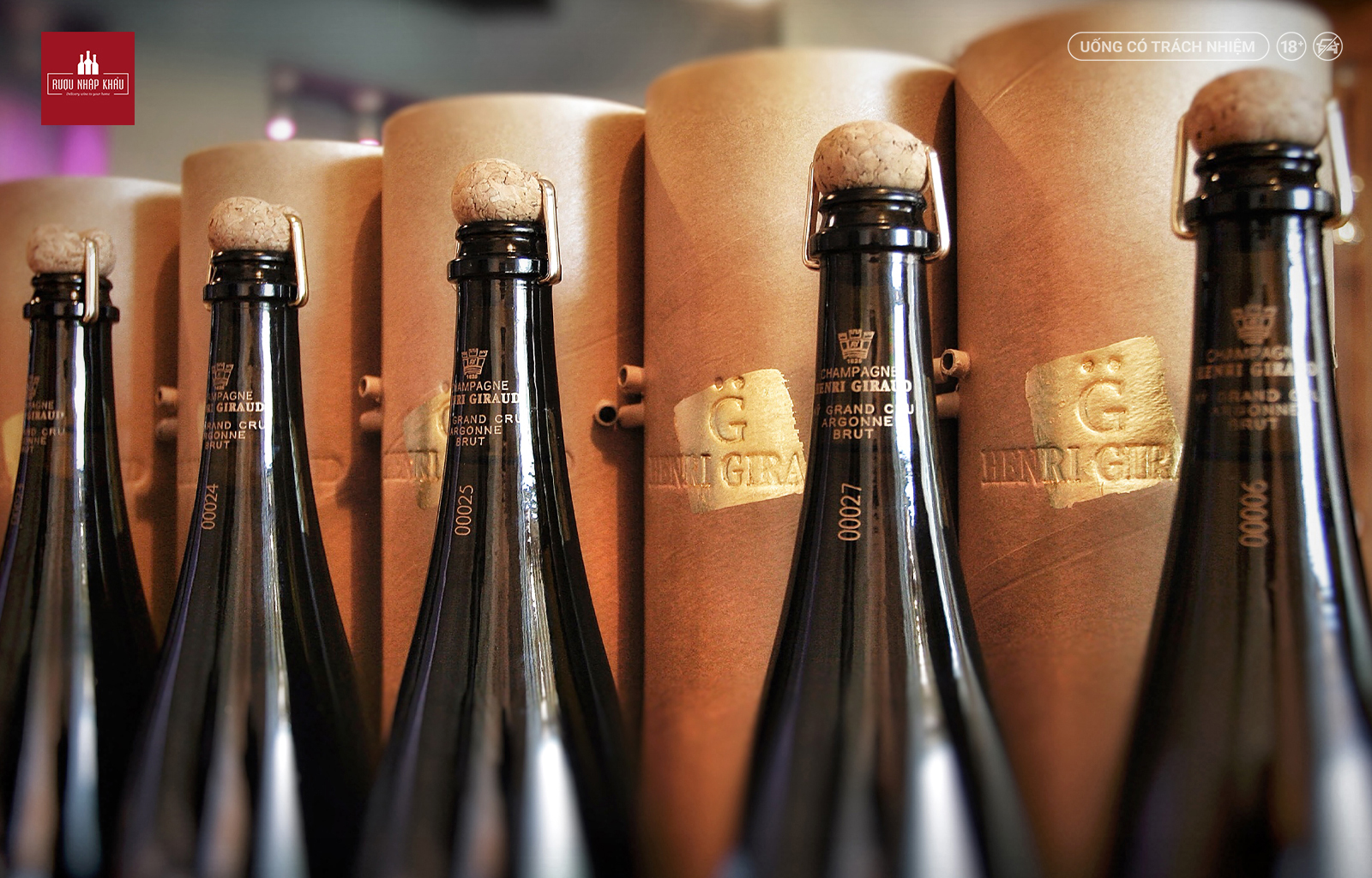 Khám phá các giống nho làm nên rượu Champagne Aÿ Grand Cru ARGONNE 2
