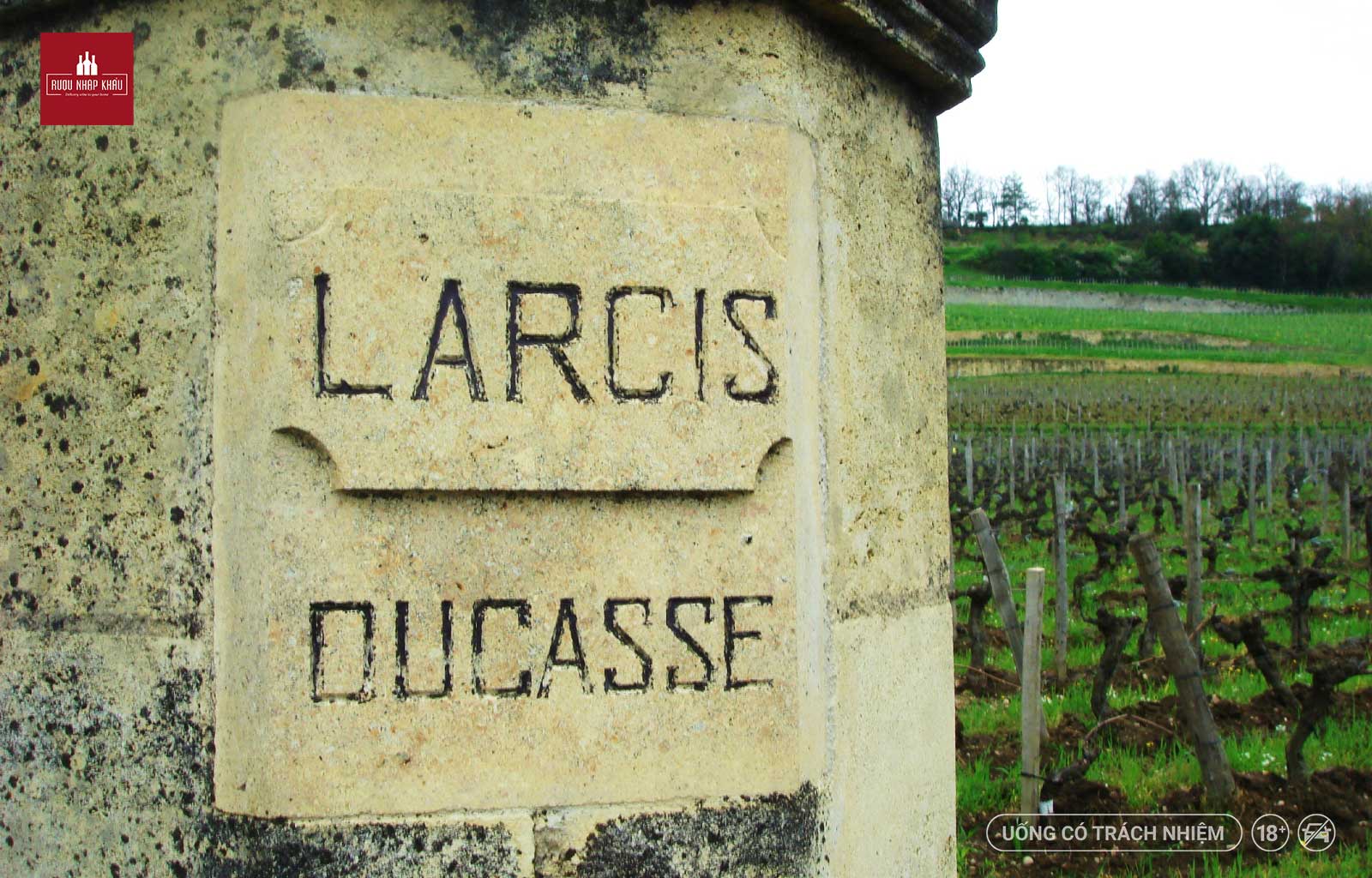 Khám phá nguồn gốc ra đời của rượu vang đỏ Château Larcis Ducasse 1
