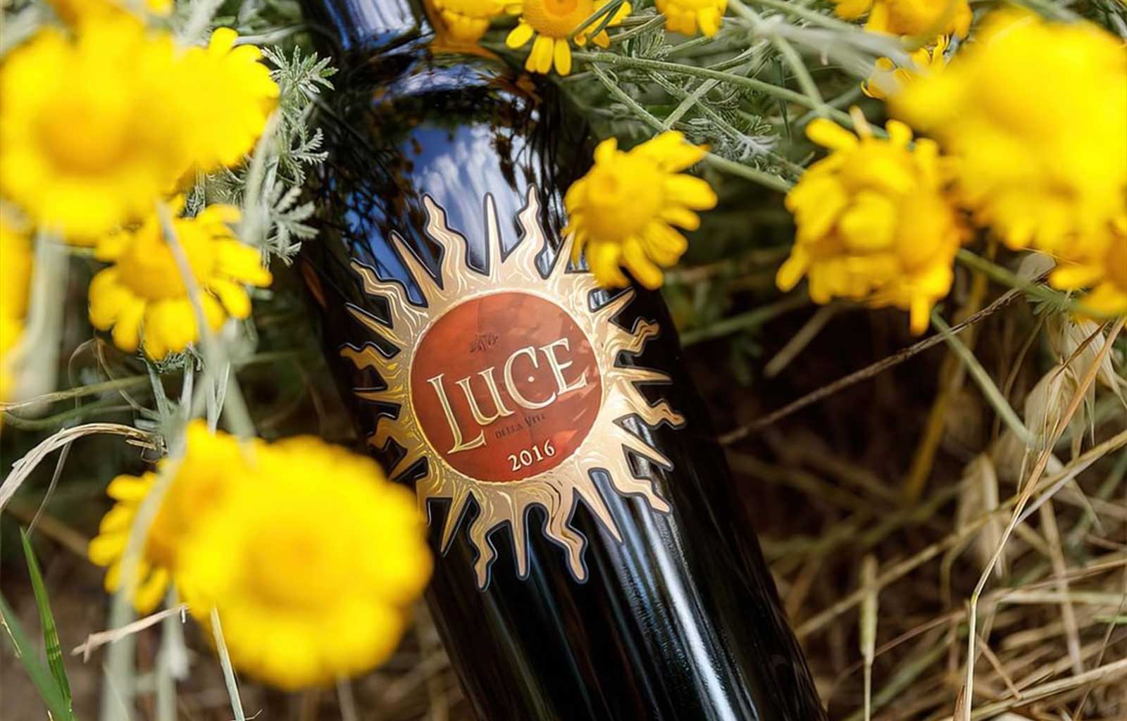 Luce Della Vite 2016 - Hương vị rượu vang Ý đẳng cấp 3