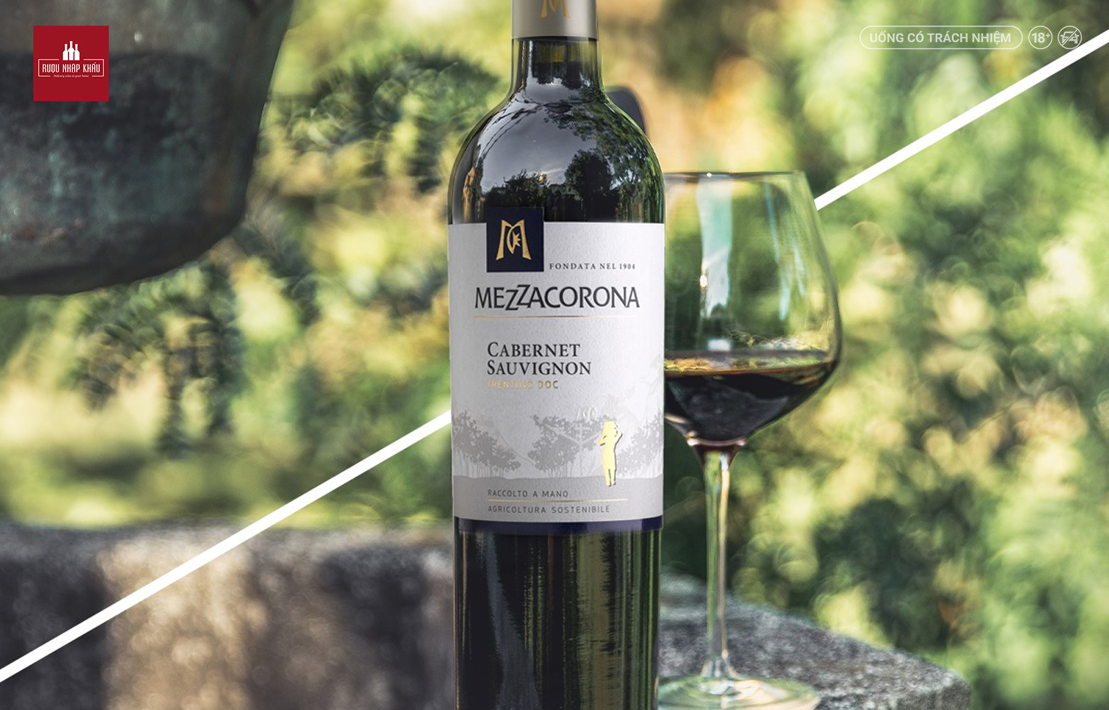 Mezzacorona Cabernet Sauvignon - Chai rượu vang giá tốt của Ý 2
