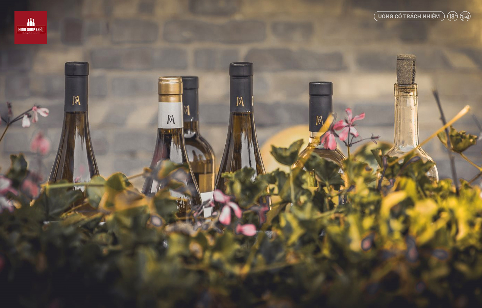 Mezzacorona Sauvignon Blanc - chai rượu vang Ý chất lượng giá tốt 2