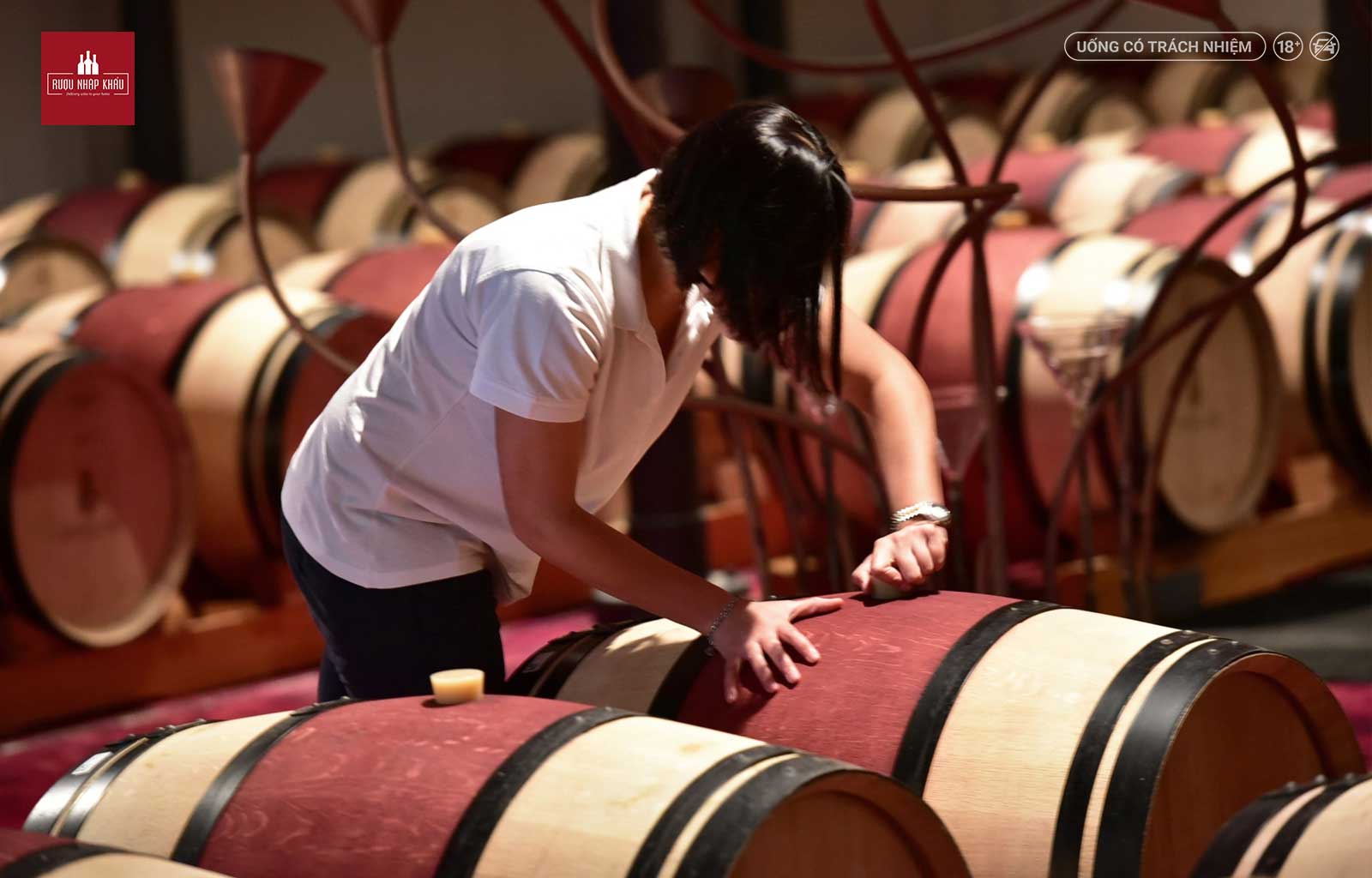 Quy trình sản xuất của rượu vang đỏ Le Serre Nuove dell’Ornellaia 1