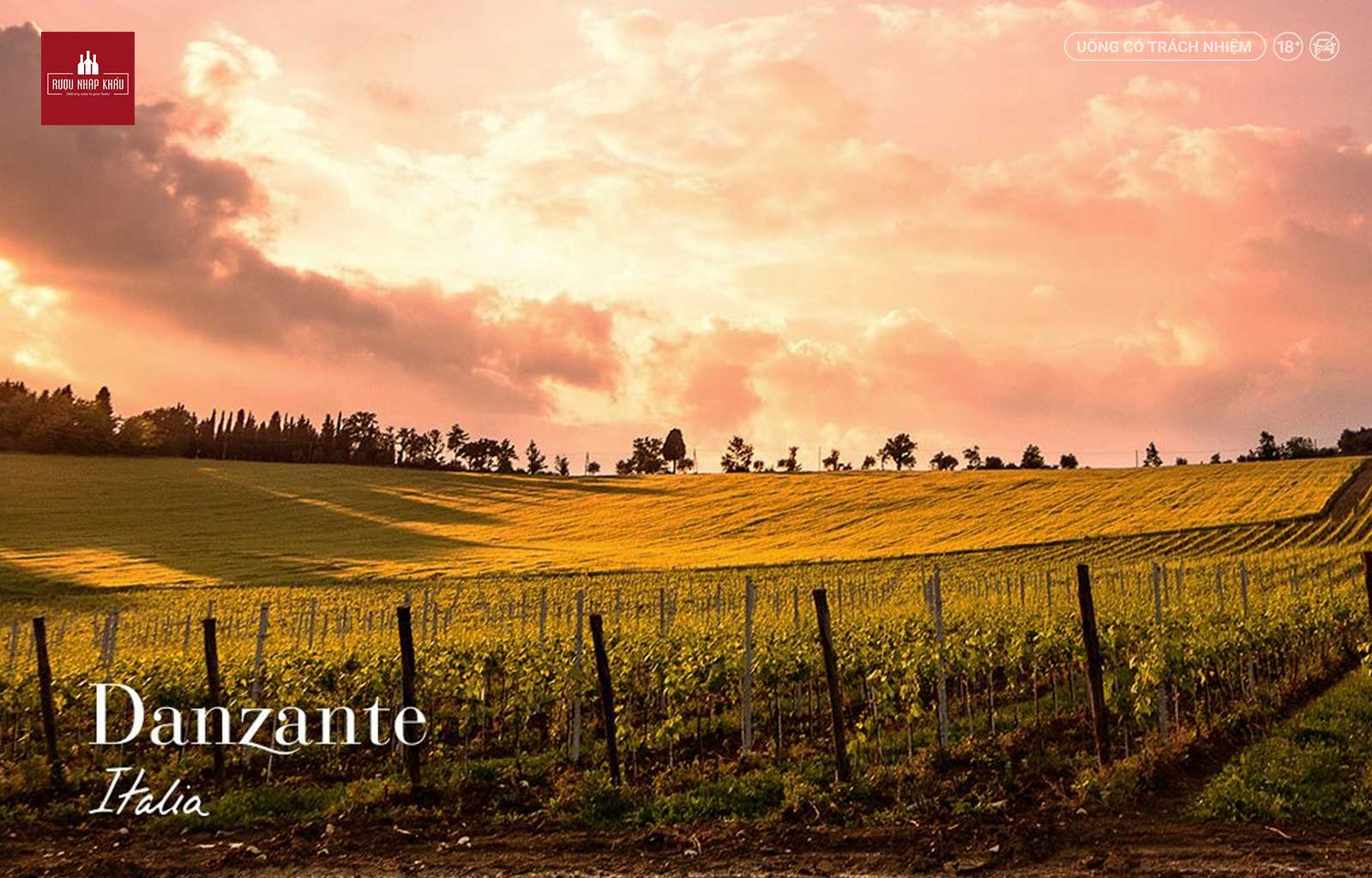 Quy trình sản xuất rượu vang đỏ Danzante Tuscan Red Blend 1