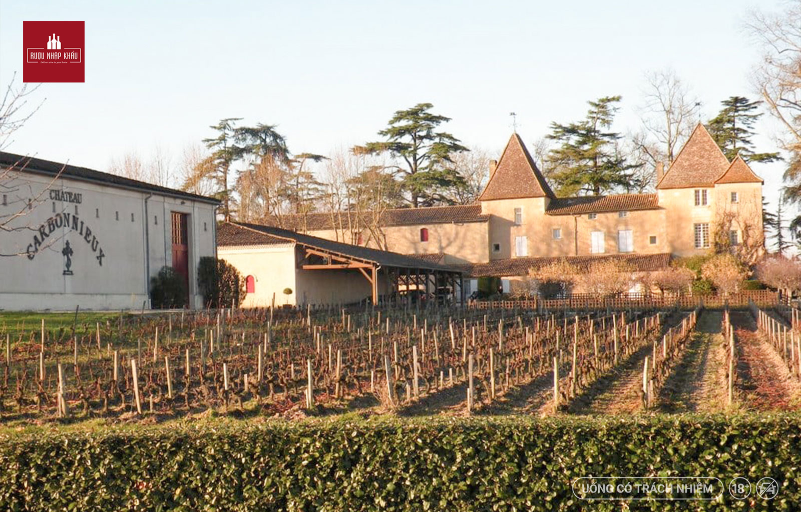 Rượu vang đỏ Château Carbonnieux cho tiệc rượu đẳng cấp 3