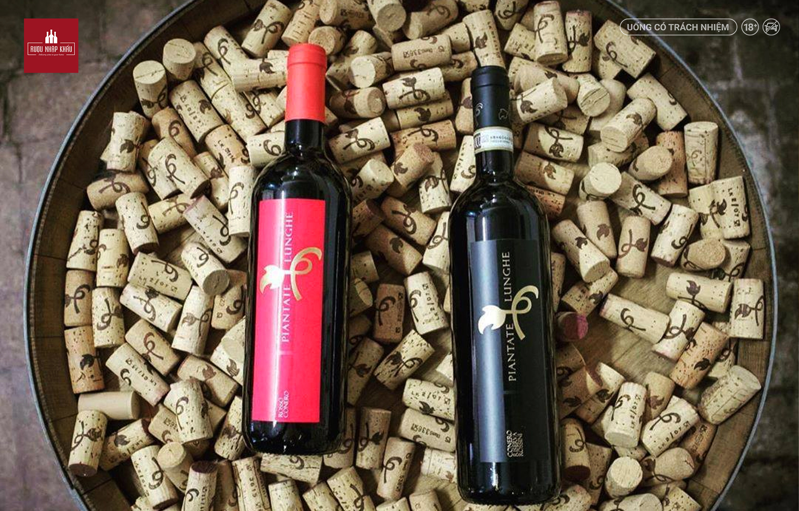 Rượu vang đỏ Rosso Conero - món quà tặng hoàn hảo 1