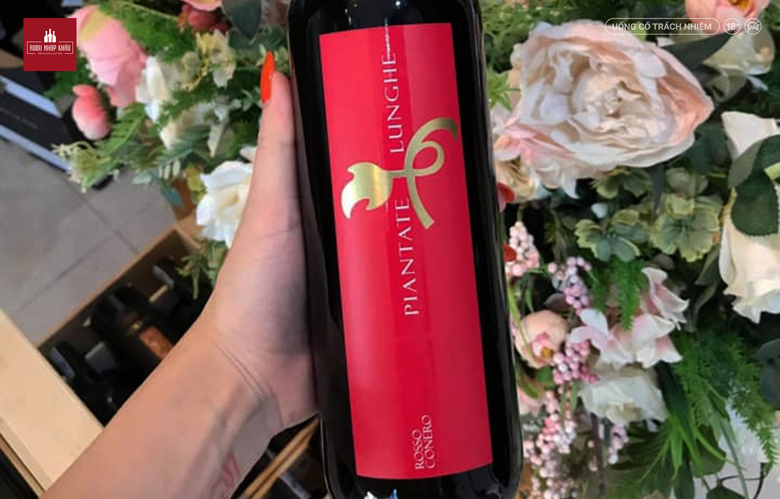 Rượu vang đỏ Rosso Conero - món quà tặng hoàn hảo 2