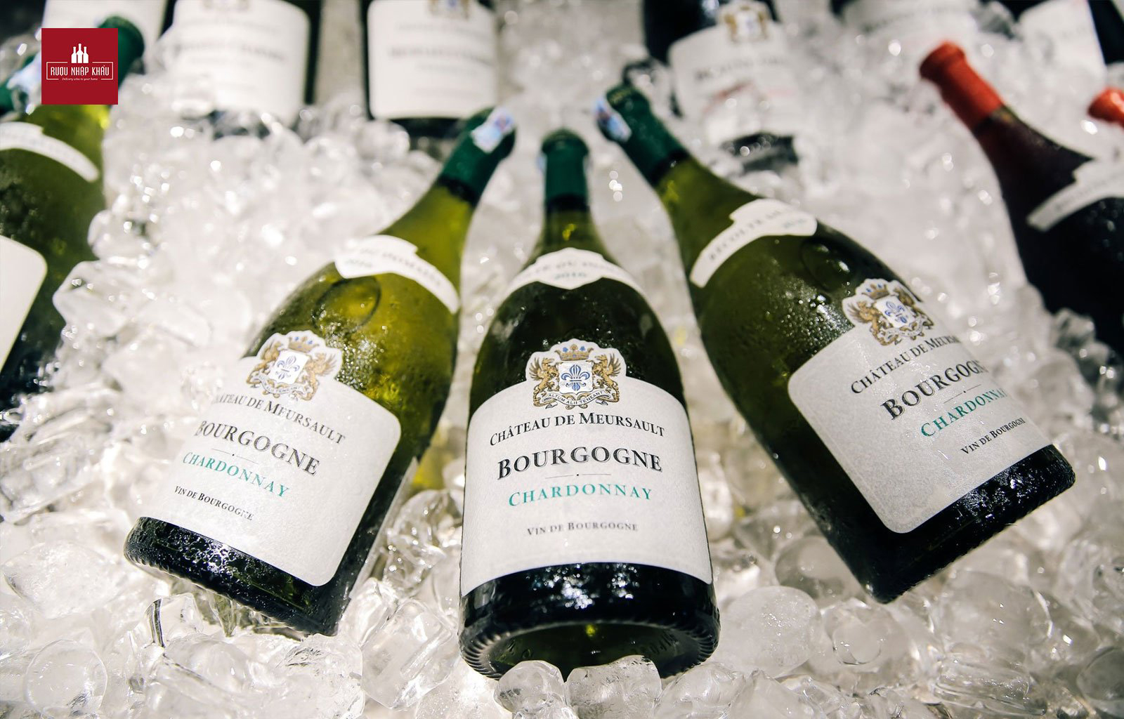 Rượu vang - Gợi ý hoàn hảo cho quà tặng doanh nghiệp - Chateau De Meursault Bourgogne Chardonnay & Pinot Noir
