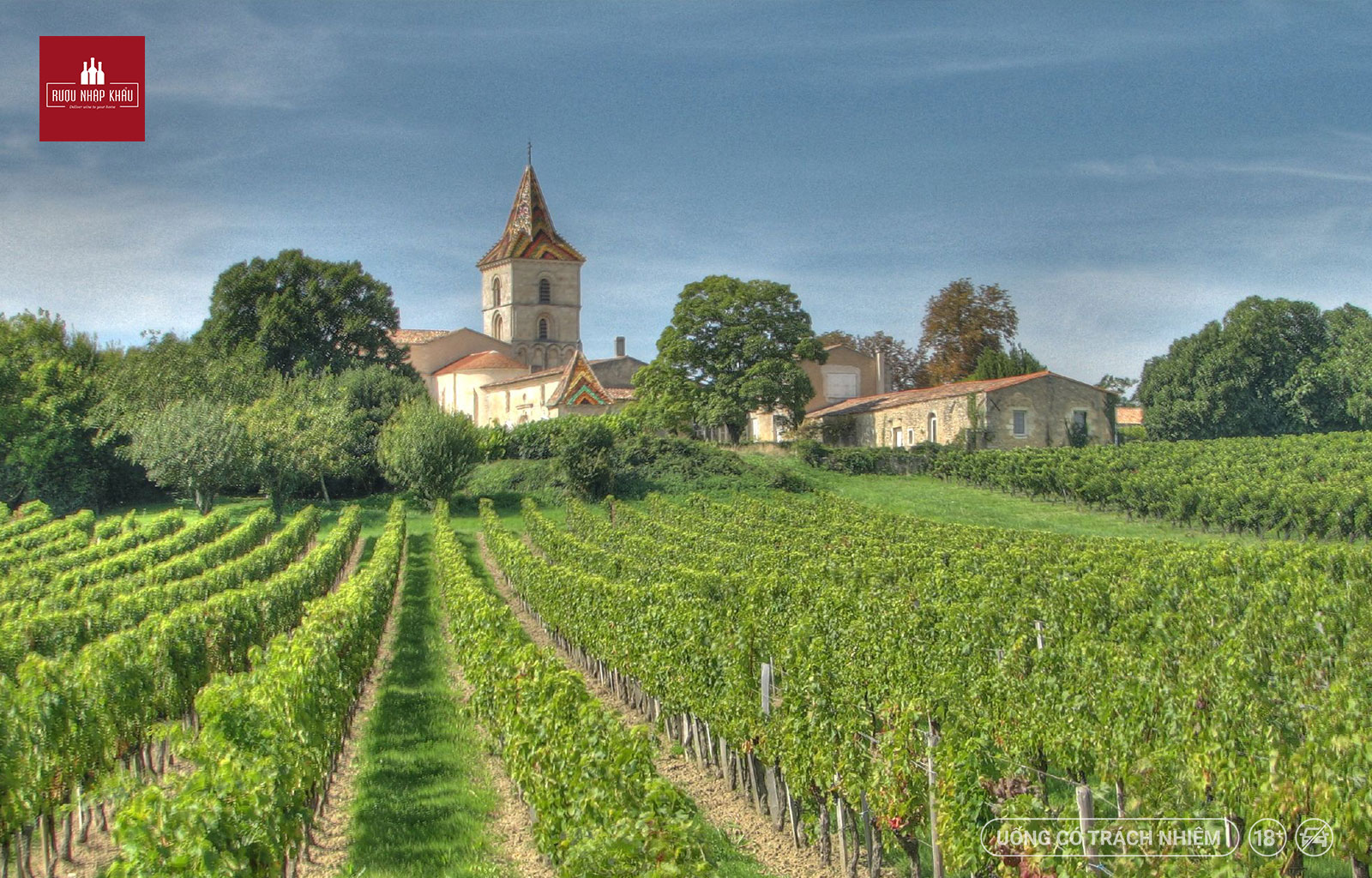 Rượu vang trắng cho mùa hè: Yvecourt Bordeaux Sauvignon Blanc 2