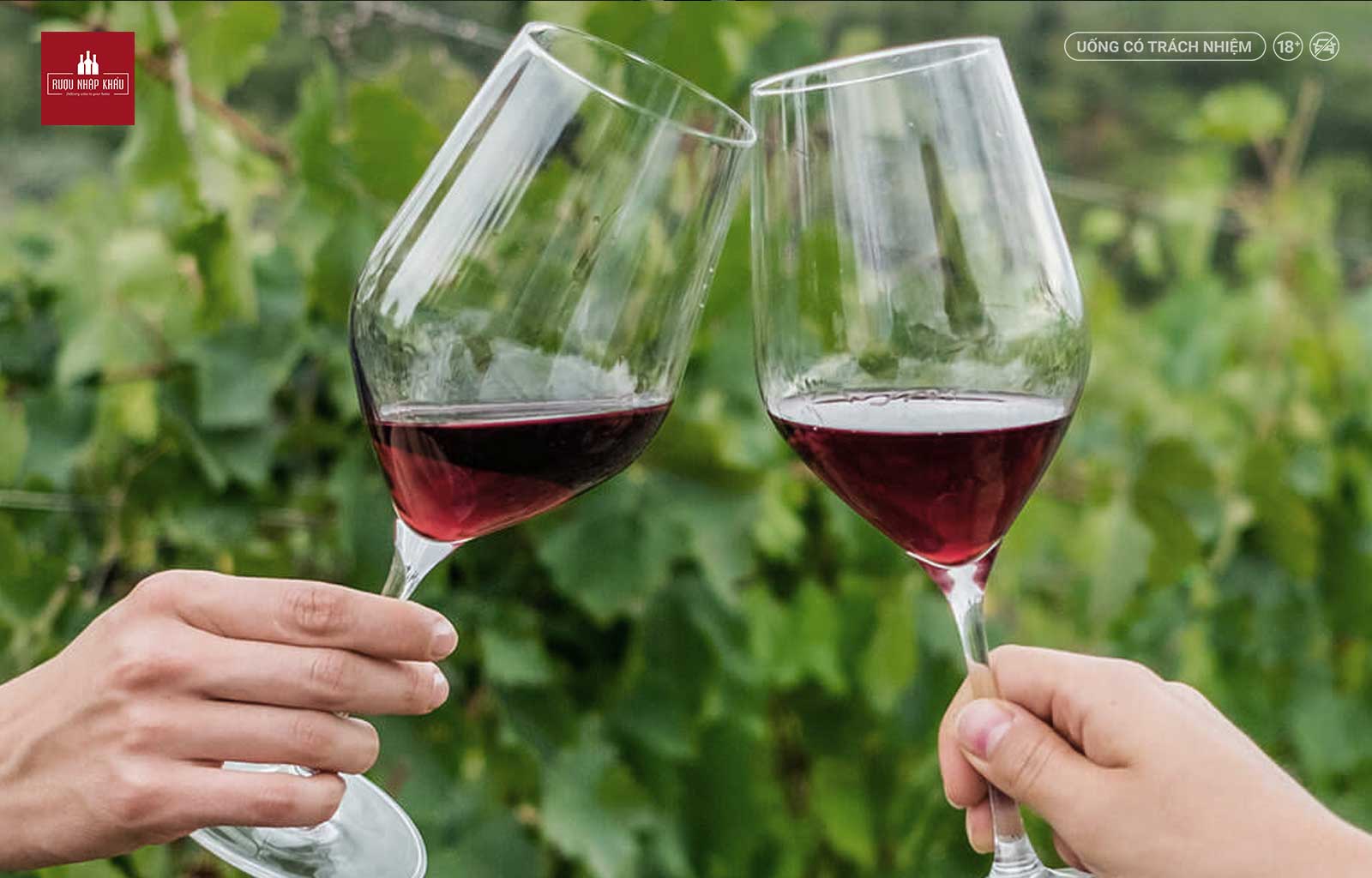 Thưởng thức hương vị tuyệt vời của rượu vang Campo Ai Sassi Rosso di Montalcino DOC 2
