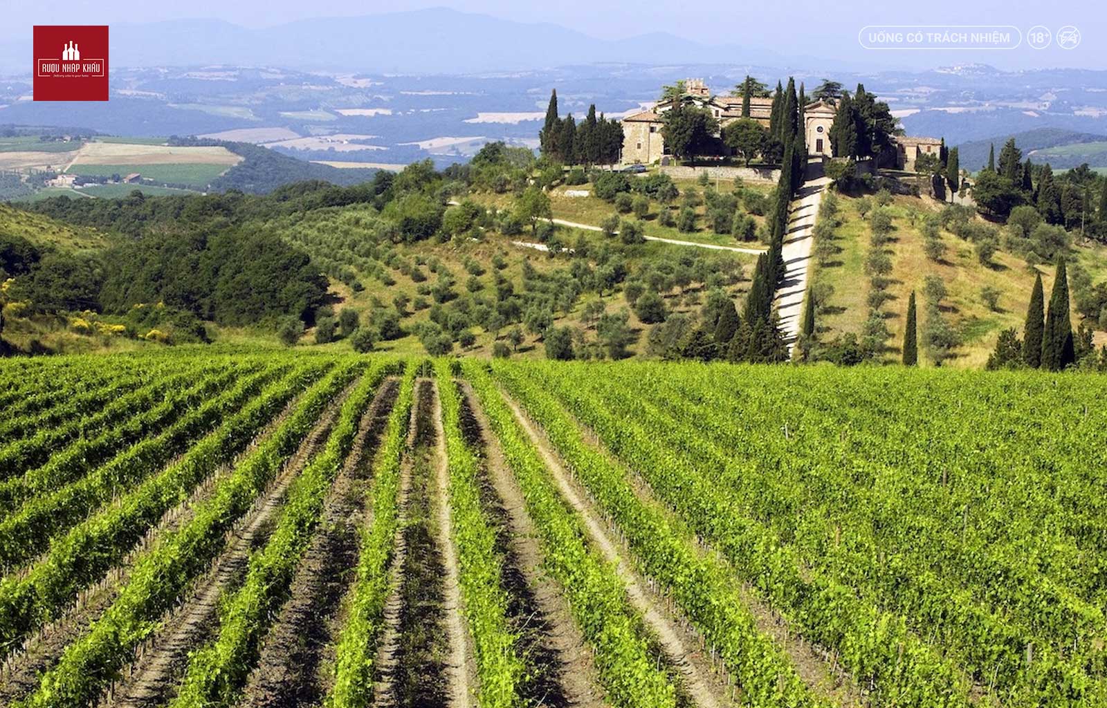 Thưởng thức rượu vang Ý Nipozzano Chianti Rufina Riserva