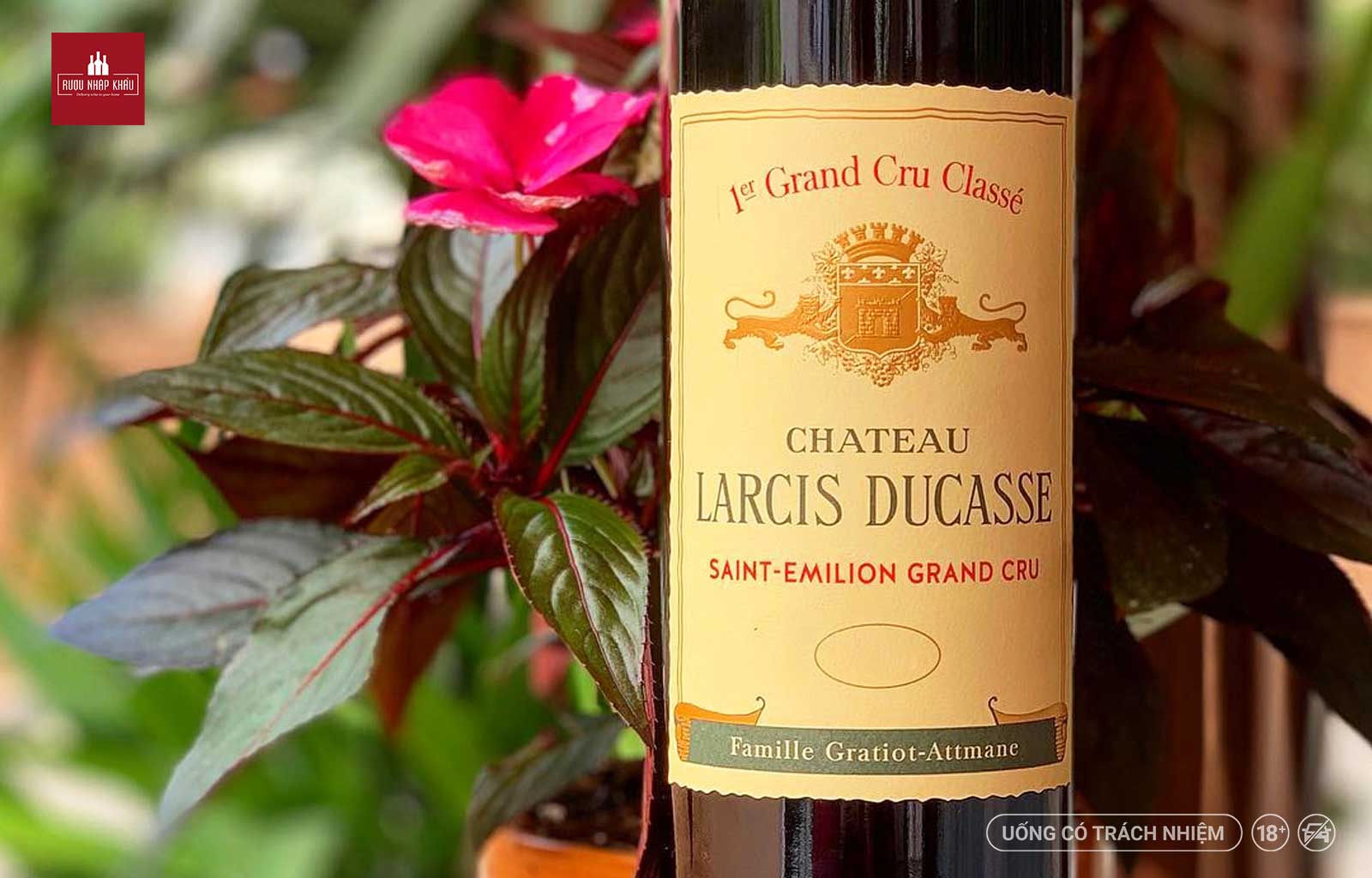Thưởng thức sự cuốn hút của chai vang đỏ cao cấp Château Larcis Ducasse 2