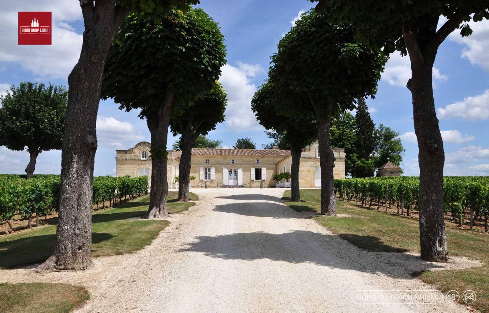 Tìm hiểu về nguồn gốc của rượu vang Pháp cao cấp Chateau Trotte Vieille 1