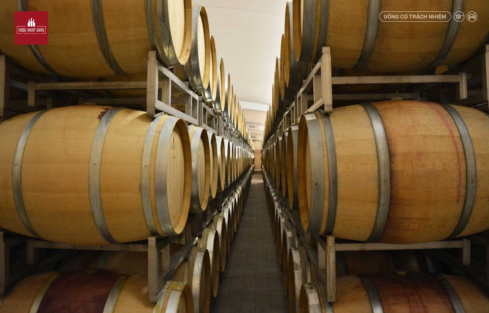 Tìm hiểu về rượu vang Ý Pelissero Piani Barbera D'Alba 1