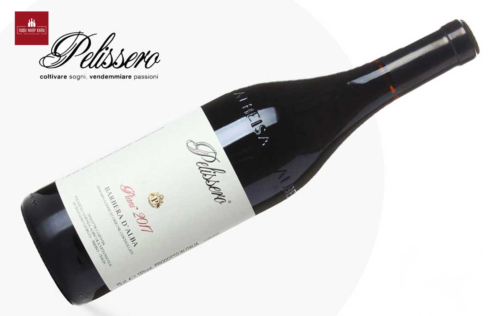 Tìm hiểu về rượu vang Ý Pelissero Piani Barbera D'Alba 2
