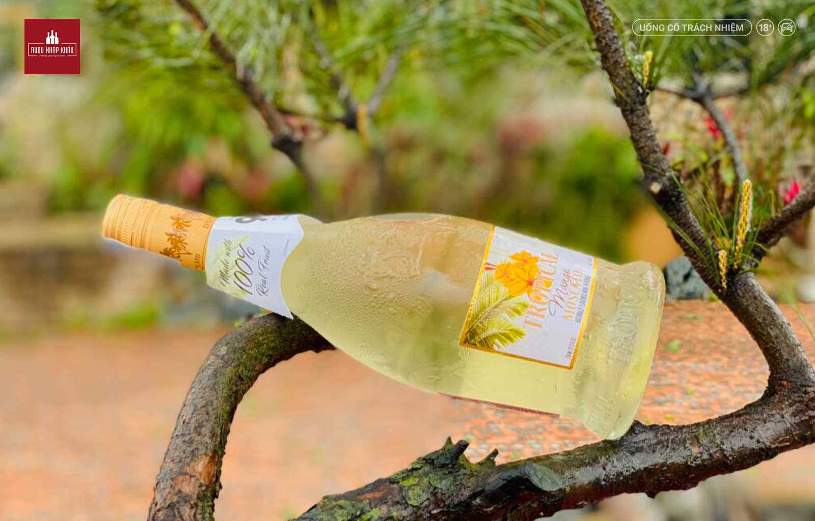 Tropical Mango Moscato - Chai rượu vang Ý ngọt ngào chào đón mùa hè 2