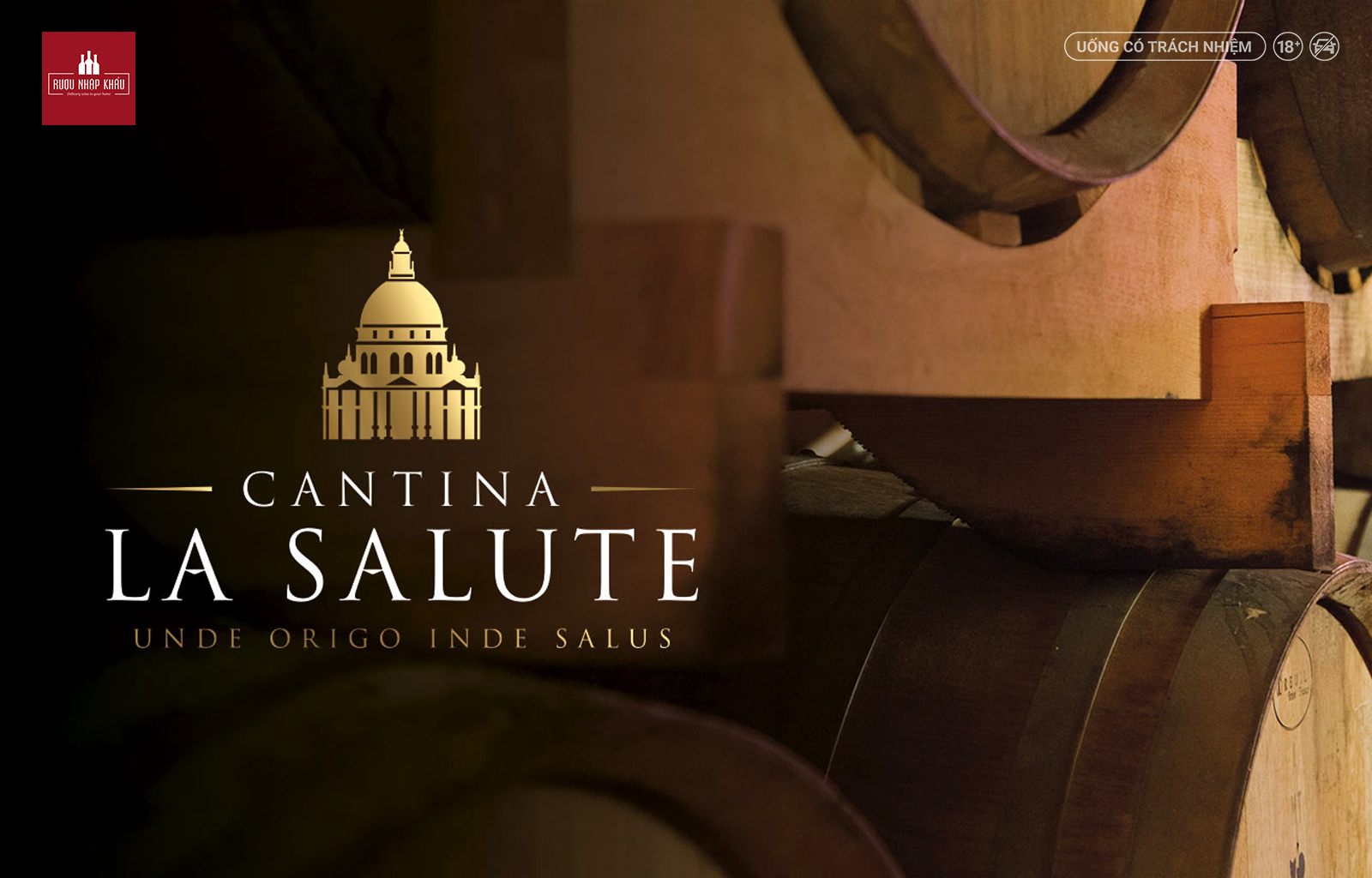 Vì sao rượu vang trắng Ý Forcola Pinot Grigio được yêu thích 1
