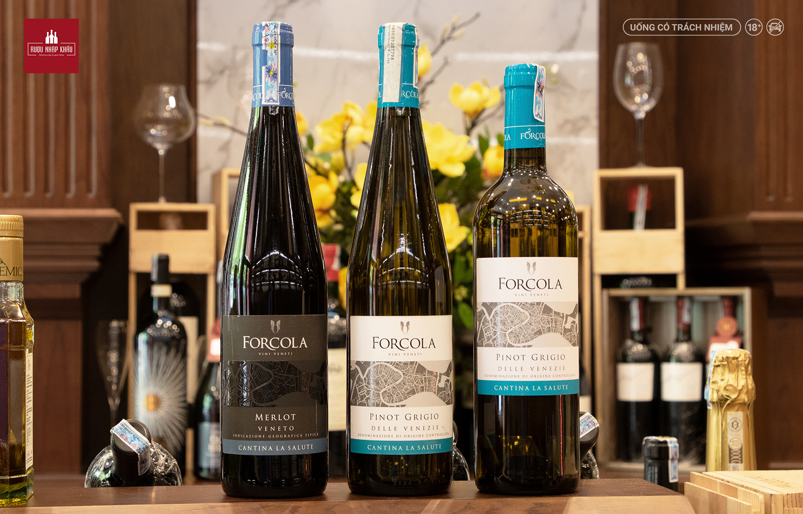 Vì sao rượu vang trắng Ý Forcola Pinot Grigio được yêu thích 2