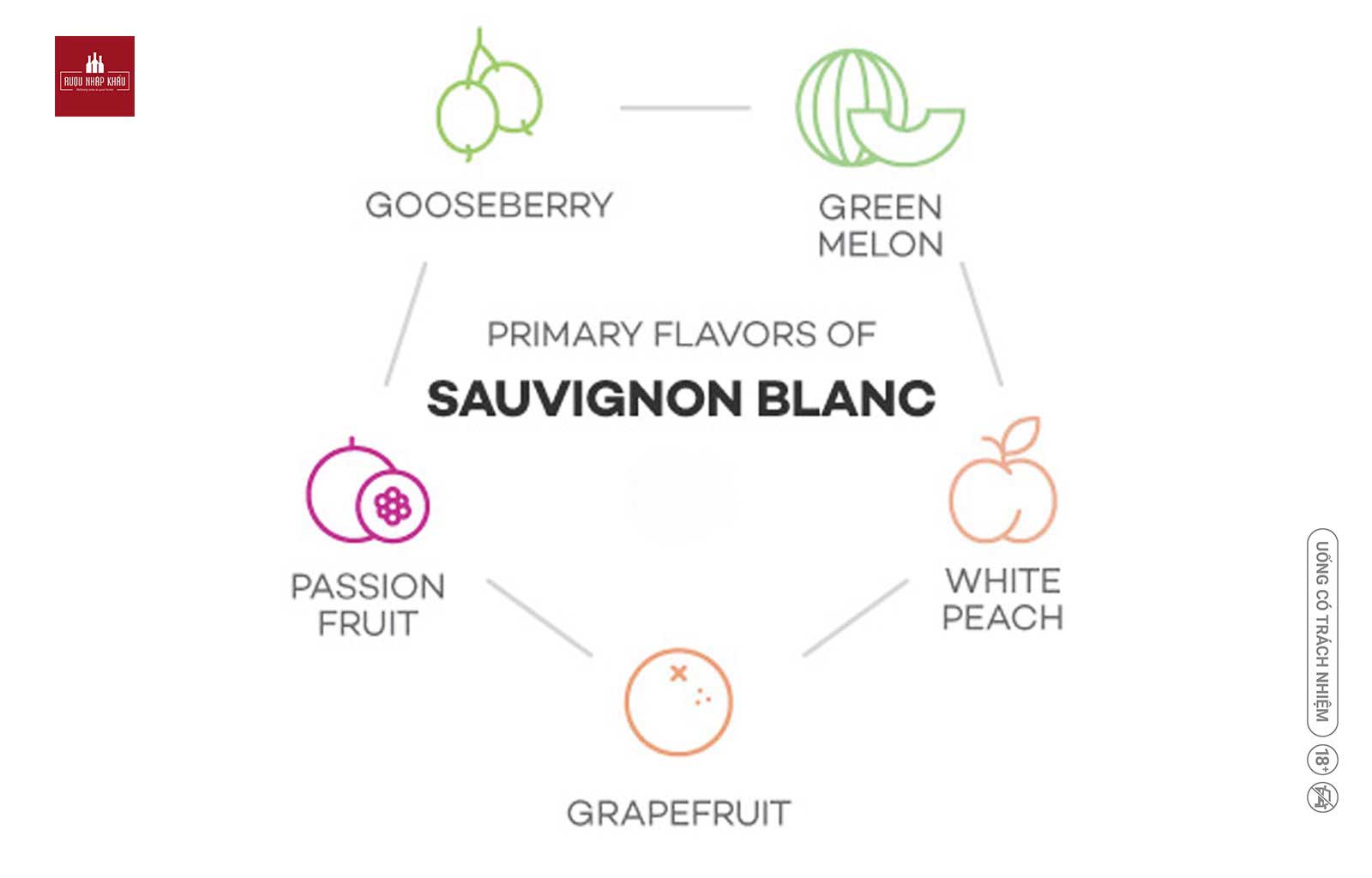 Wine Discovery: So Sánh Nho Chardonnay Và Nho Sauvignon Blanc 2