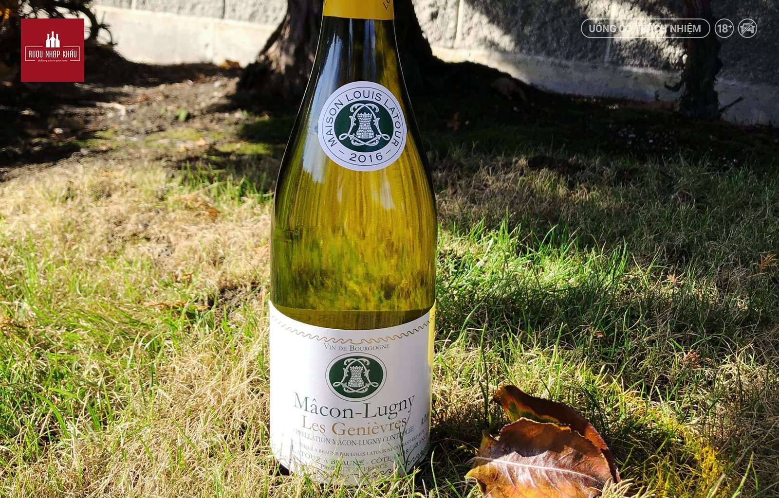 Wine Discovery: Tìm hiểu về vùng Burgundy, Pháp 4