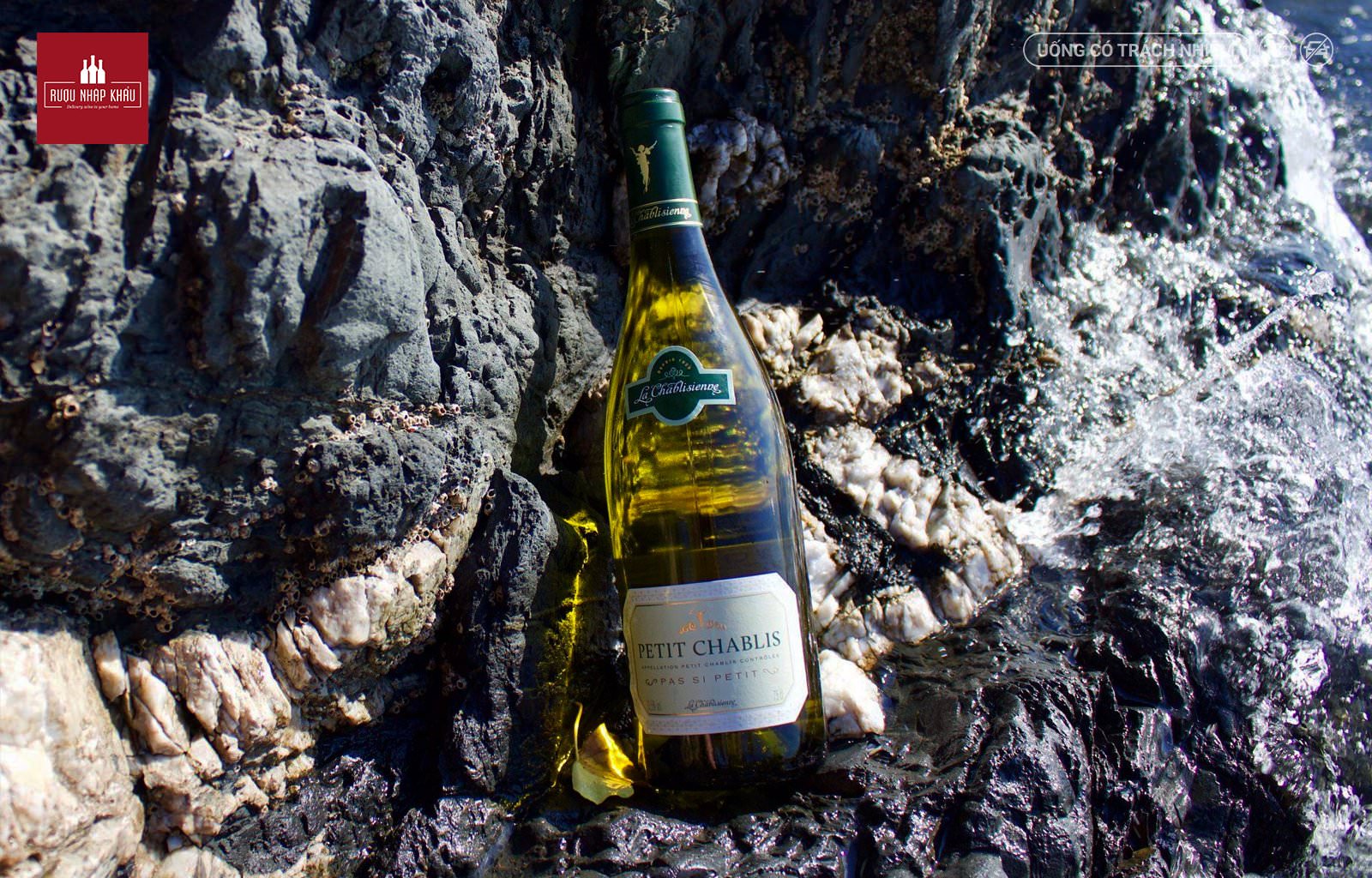 Wine Discovery: Tìm hiểu về vùng Burgundy, Pháp 6