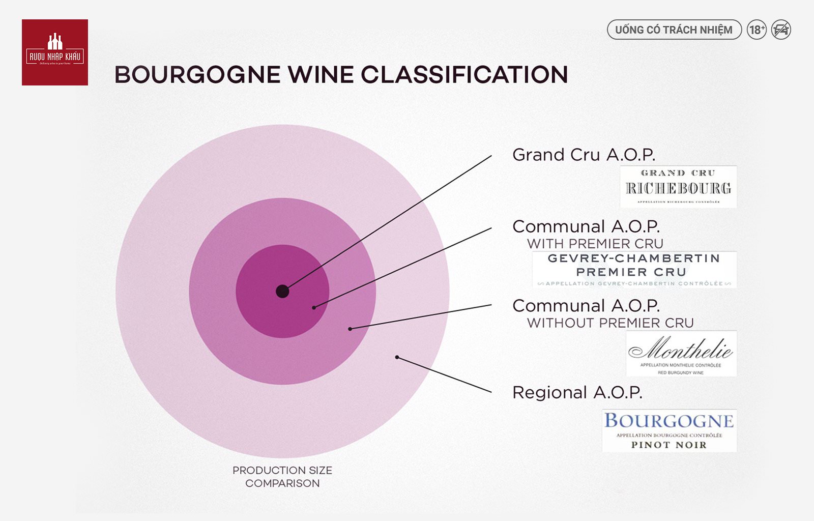 Phân loại rượu vang Burgundy