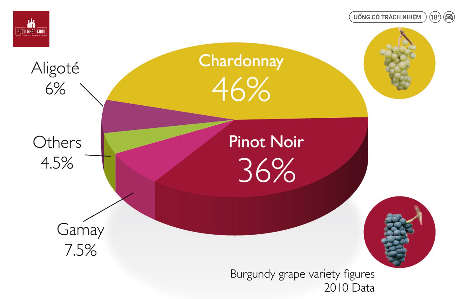 Những giống nho làm rượu vùng Burgundy