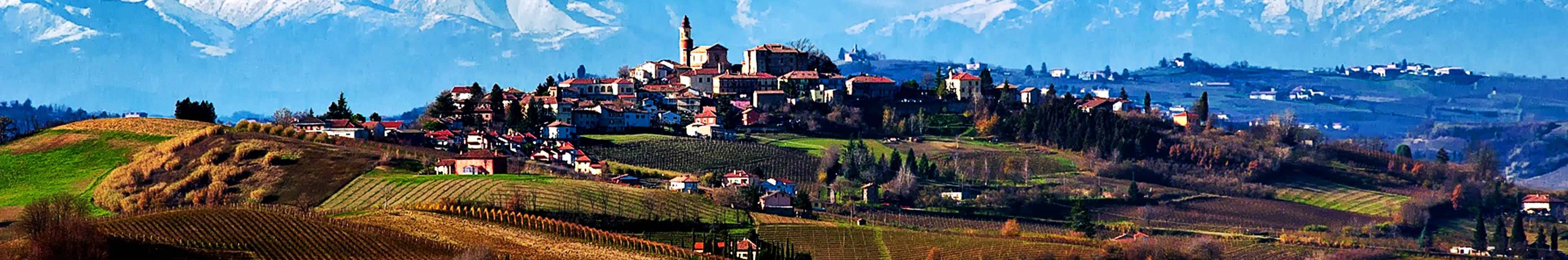 Rượu Vang Piedmont