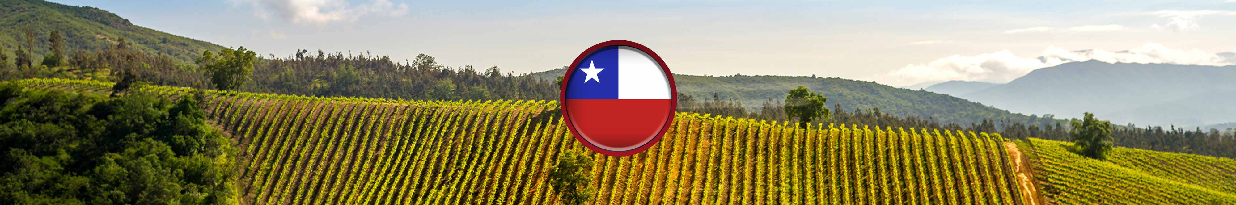 Rượu Vang Chile (Chi Lê)